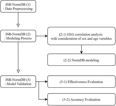 Quantitative Electroencephalogram Standardization: A Sex- and Age-Differentiated Normative Database